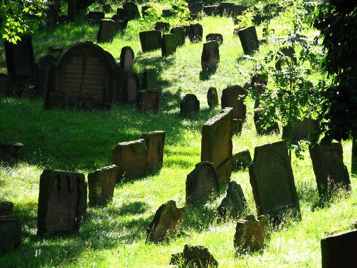 Die Auferweckung der Toten nach dem Koran