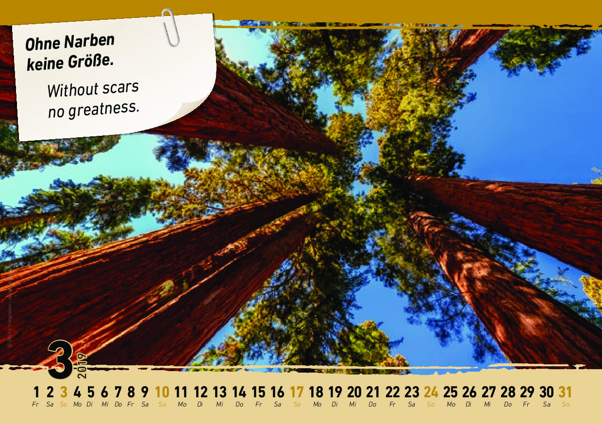 ImpulsKalender 2019-2020