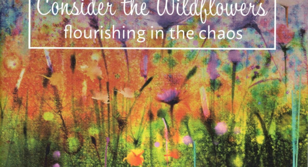 Betrachte die Wildblumen