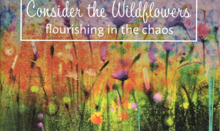 Betrachte die Wildblumen