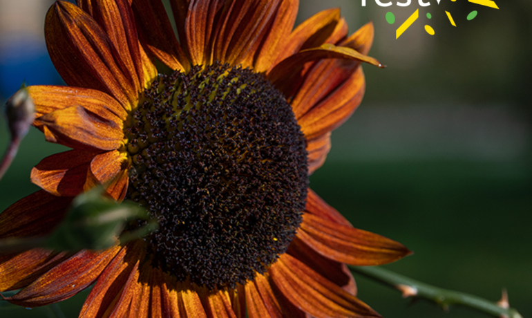 In der Mediathek: hoffnungsfest 2021