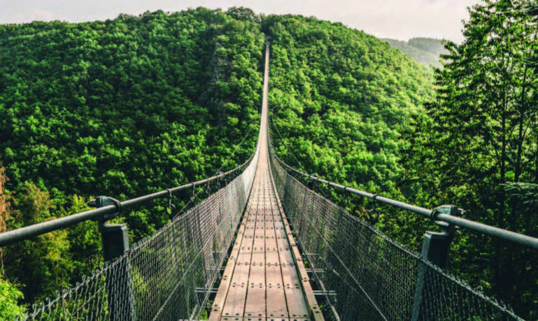 Her und Hin über die Grenze