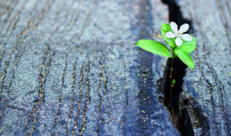Unsere Hoffnung ist groß – auch im Erdbeben